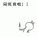 2.gif