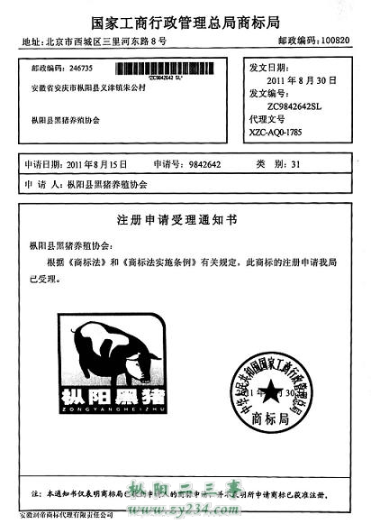 黑猪证明.jpg