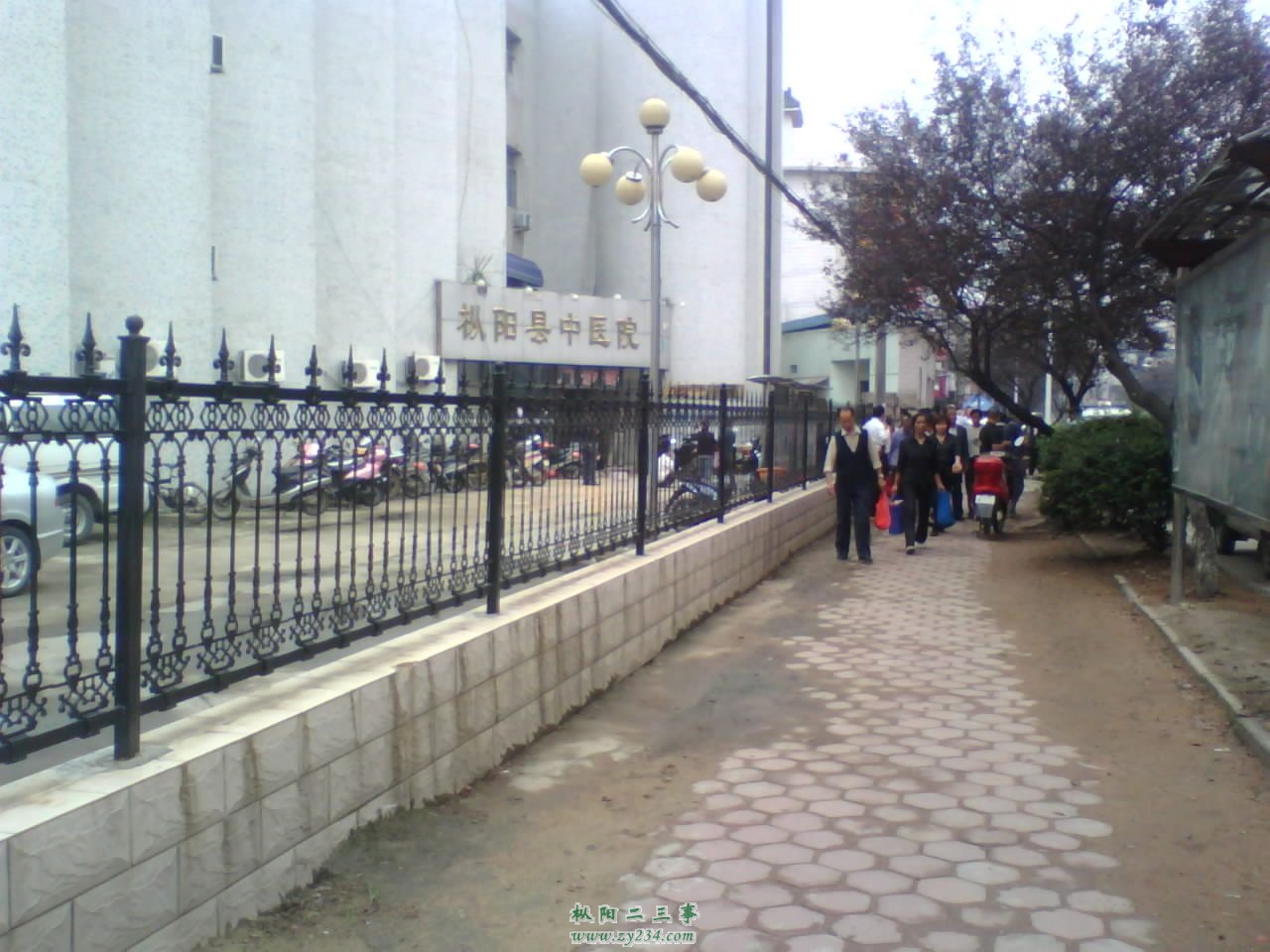 IMG0087A.jpg
