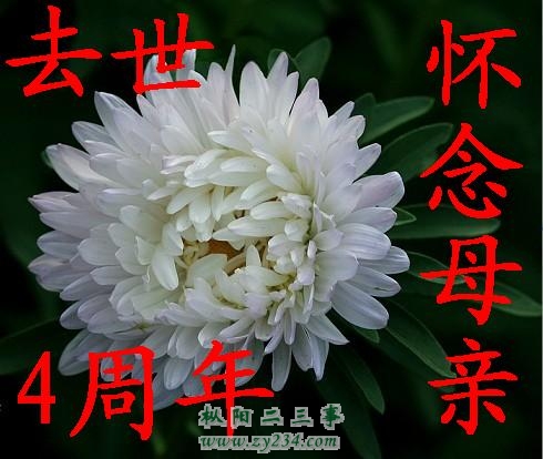 母亲去世4周年