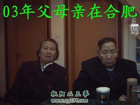 父母在03年