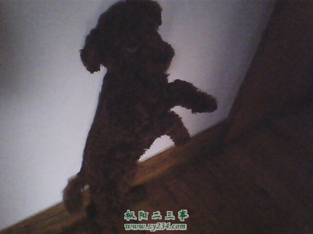IMG0633A.jpg