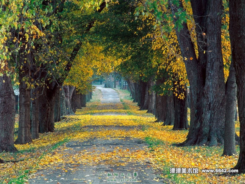20091127082741134.jpg