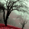 刺血.gif