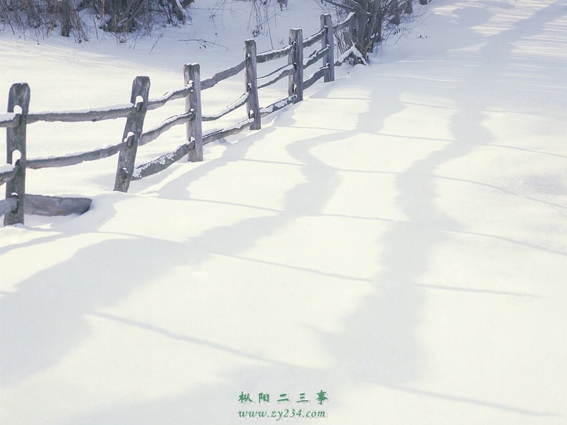 xuejingtupian-meilidongtianxuejingbizhi_456711_m.jpg