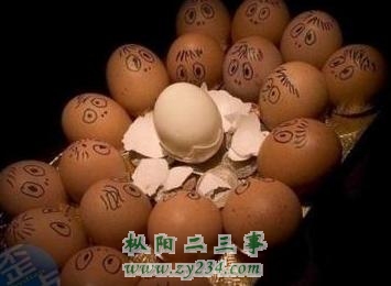 鸡蛋.jpg