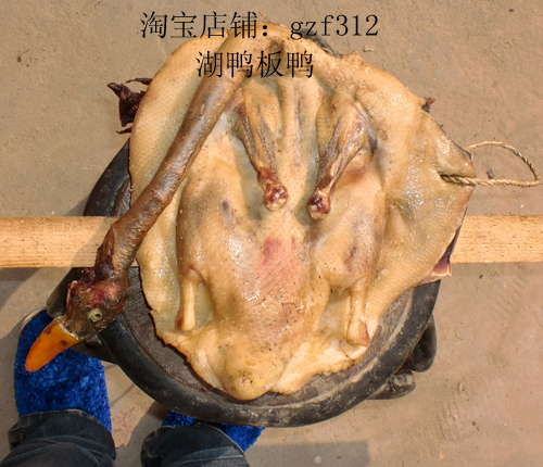 CIMG0891 拷贝.jpg