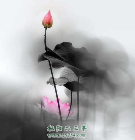 请输入描述