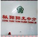 阳光房产中介.jpg