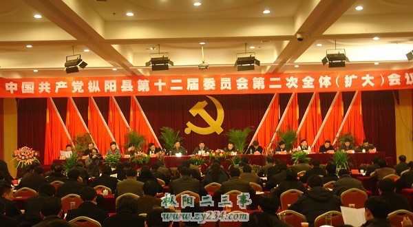 中共枞阳县委十二届二次全体.jpg