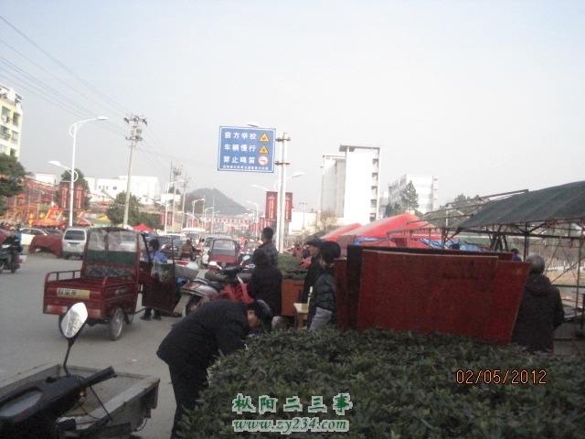 IMG_1294.jpg