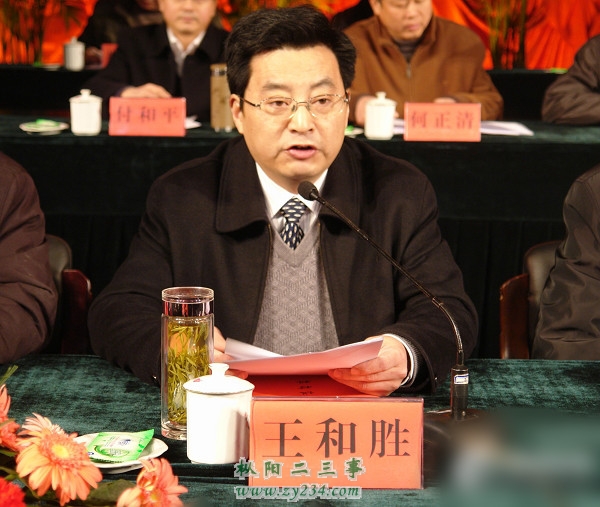 县委副书记王和胜主持