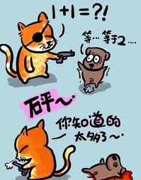 20101232325292036258.jpg