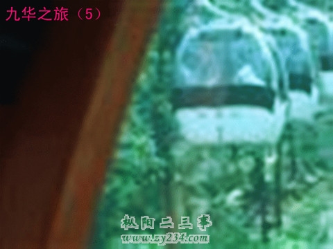 请输入描述