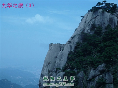 请输入描述