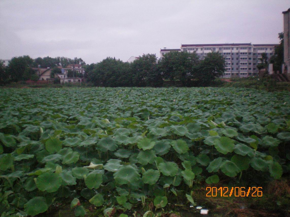 6025 015.jpg