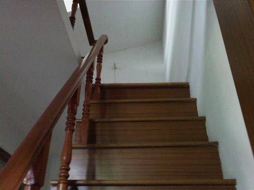 Camera_20120421_125329.jpg