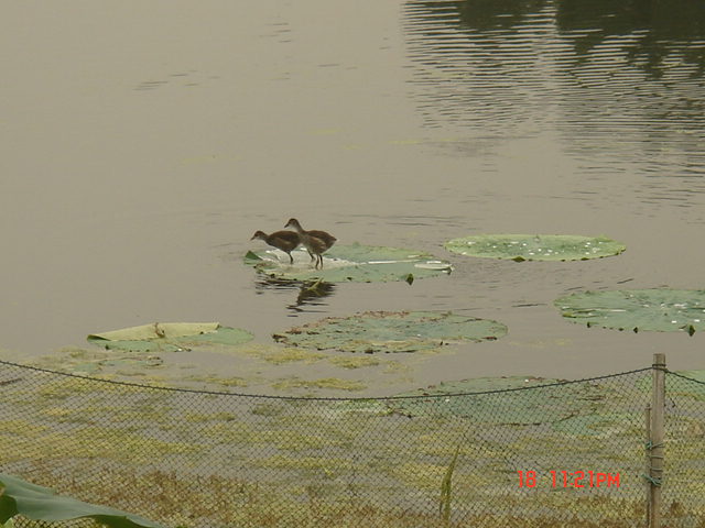DSC06219.JPG