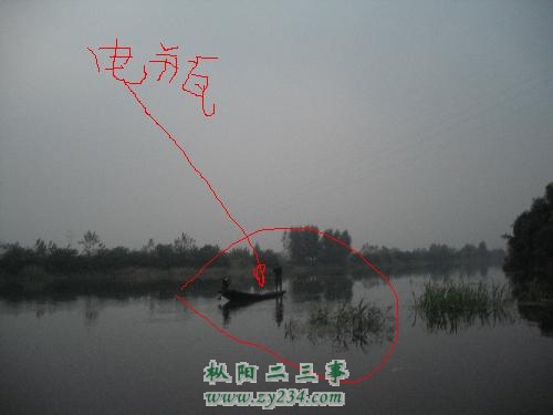 明目张胆电鱼