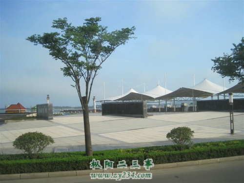 进胶州湾隧道前路边风景_1.jpg