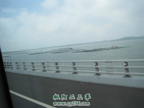 桥上大海1.jpg