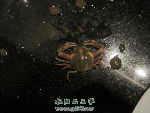 未命名_meitu_1.jpg