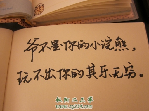 02.jpg