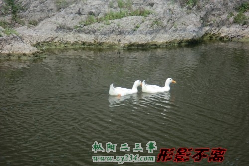 CIMG0385_conew1.jpg