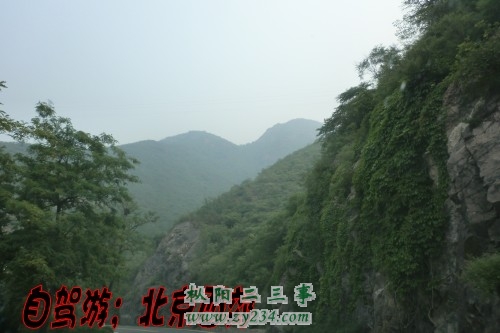 cimg0353_conew1.jpg