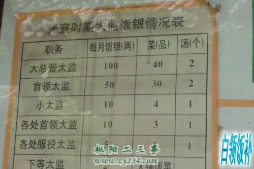 CIMG0510_conew1.jpg