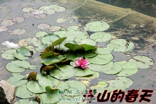 CIMG0371_conew1.jpg