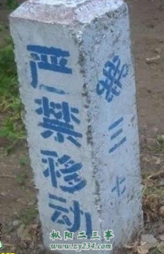 unicom.jpg