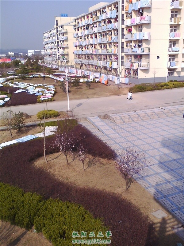 学校1.jpg