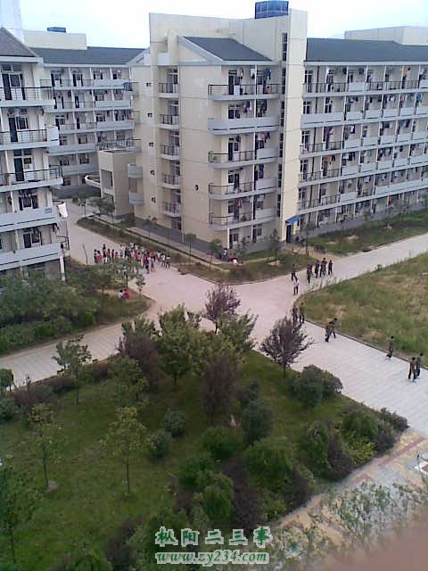 学校.jpg