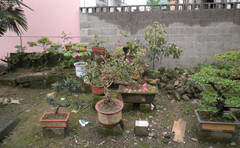 P4210052_副本_副本.jpg