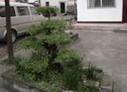P4210050_副本.jpg