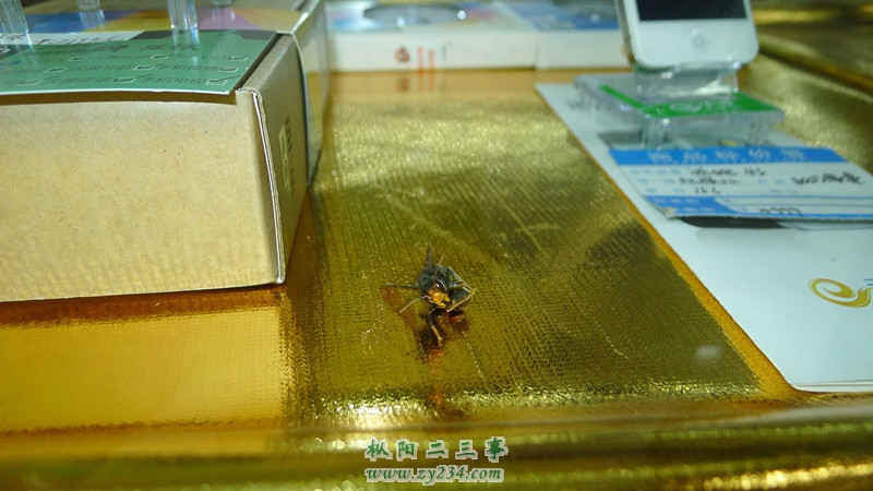 请输入描述