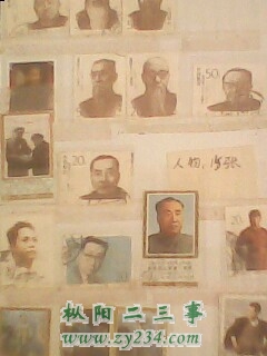 IMG0174A.jpg