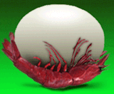 getCA1J1CU014502.gif