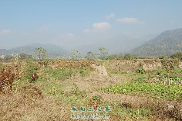 1726626_923226.jpg