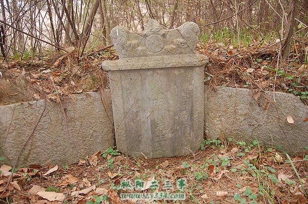1726627_175481.jpg