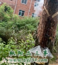 请输入描述