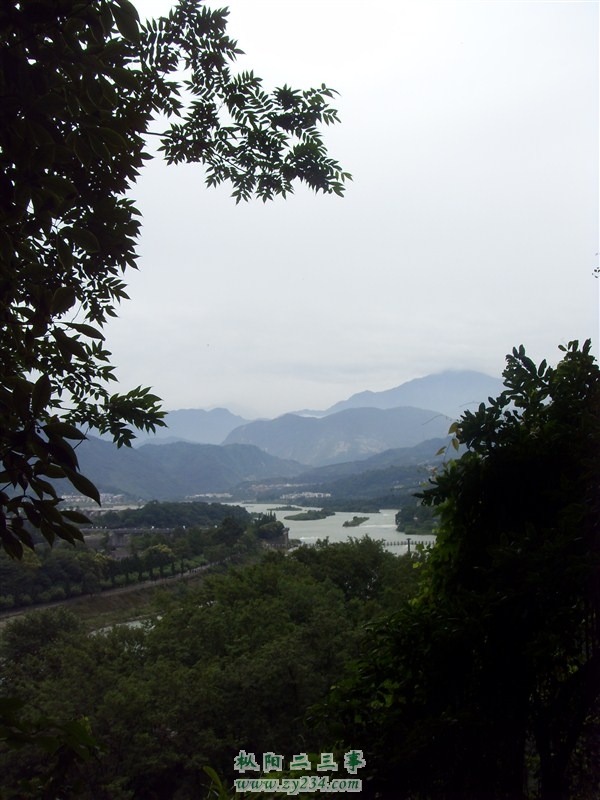 63.jpg