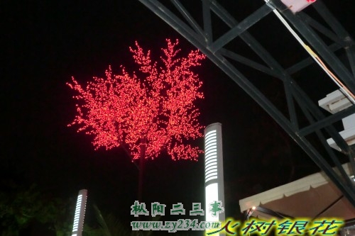 CIMG0697_conew1.jpg