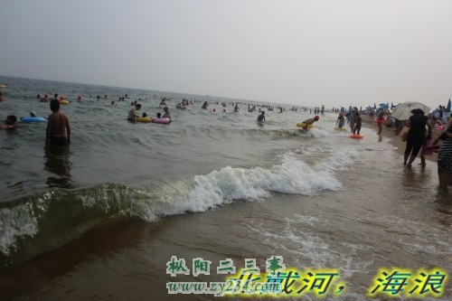 CIMG0666_conew1.jpg