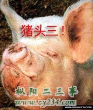 　个人名.jpg