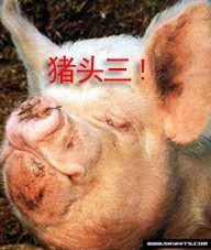　个人名.jpg