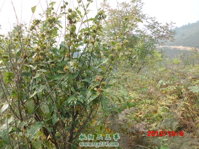 CIMG0499.JPG