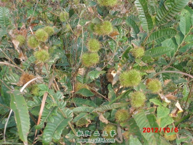 CIMG0504.JPG