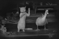 t02d546596187067e9d_50.gif